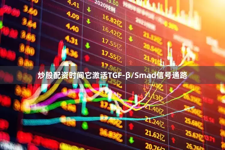 炒股配资时间它激活TGF-β/Smad信号通路