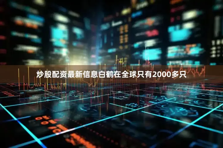 炒股配资最新信息白鹤在全球只有2000多只