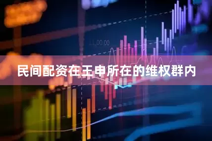 民间配资在王申所在的维权群内